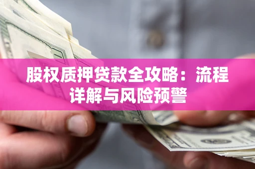 武汉股权质押贷款全攻略：流程详解与风险预警