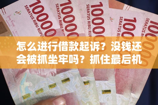 武汉怎么进行借款起诉？没钱还会被抓坐牢吗？抓住最后机会！