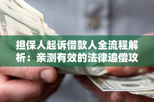 武汉担保人起诉借款人全流程解析：亲测有效的法律追偿攻略