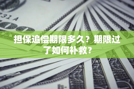 武汉担保追偿期限多久？期限过了如何补救？