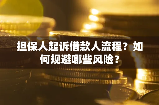 武汉担保人起诉借款人流程？如何规避哪些风险？