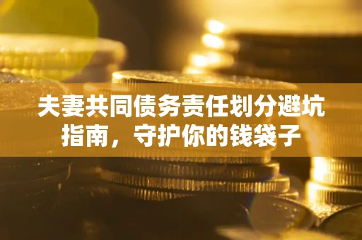 武汉夫妻共同债务责任划分避坑指南，守护你的钱袋子