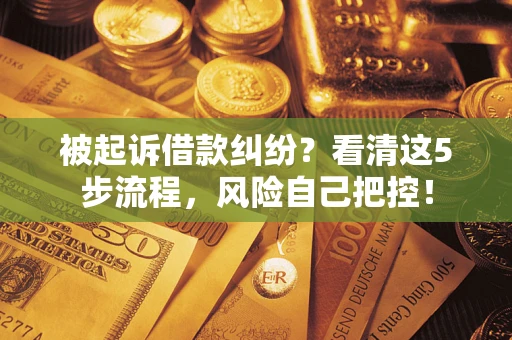 武汉被起诉借款纠纷？看清这5步流程，风险自己把控！