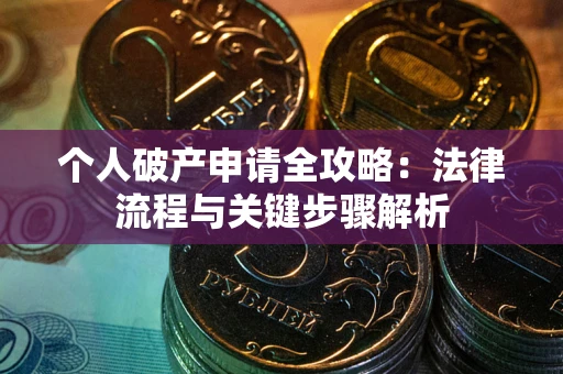 武汉个人破产申请全攻略：法律流程与关键步骤解析