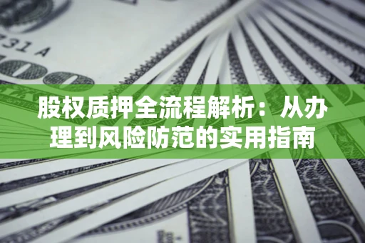 武汉股权质押全流程解析：从办理到风险防范的实用指南
